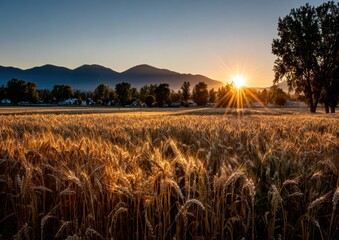 Golden Wheat Field at Sunrise