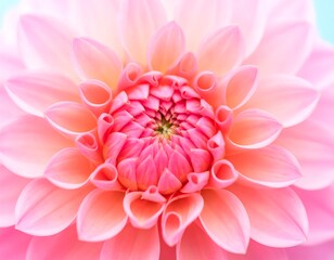 Fototapeta premium A close-up view of a vibrant, delicate pink dahlia flower, showcasing the intricate details of its petals and the soft gradient of color.