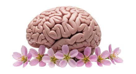 Isolated Brain with Pink Flowers