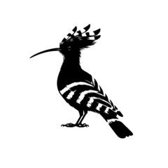 Colorful Hoopoe Bird Vector – Elegant Crested Wildlife Illustration