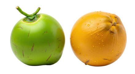 Isolated Green and Yellow Coconuts