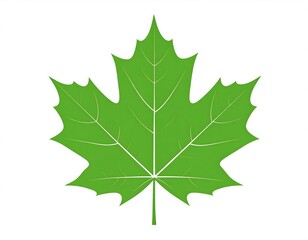 Green maple leaf graphic