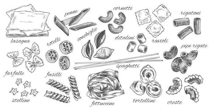 Naklejki Different types of authentic Italian pasta. Hand drawn set. Vector illustration in vintage style. Menu or signboard template for restaurant.