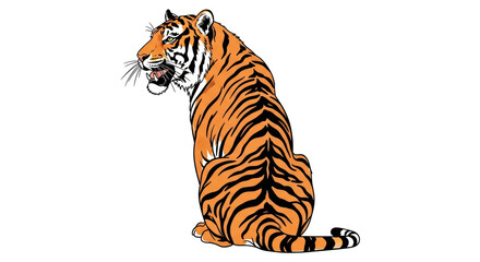Isolated Tiger Sitting