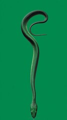 Illustrazione semplice e minimalista di un serpente verde scuro, in posizione verticale, con la testa rivolta verso il basso, con una texture liscia e lucente, su uno sfondo verde smeraldo