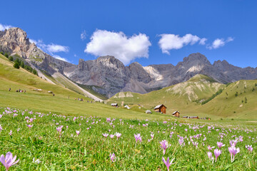 View of Fuciade Valley in the Dolomites