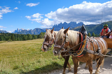 View of Fuciade Valley in the Dolomites