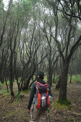 tourists on the road