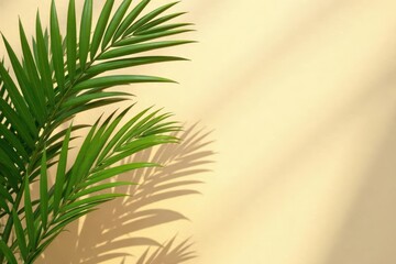 Tropical palm leaves cast shadows on a beige textured wall, image, sunlight, exotic