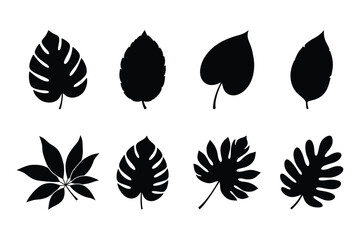 Fototapeta premium Tropical Leaf Silhouette Vector Set Monstera Collection