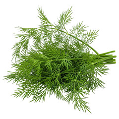 Fototapeta premium Photo of a fresh bunch of vibrant green dill herb, with delicate feathery leaves and stems, isolated on a transparent background, ideal for culinary use, garnishing, and adding flavor