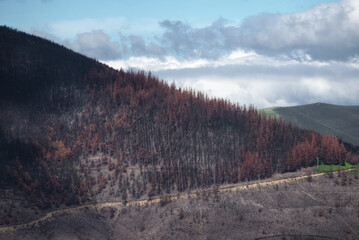 Landscapes devastated by forest fires in Courel Lugo Galicia