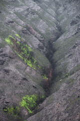 Landscapes devastated by forest fires in Courel Lugo Galicia