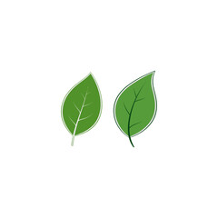 Leaf icon logo flat vector design