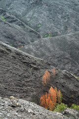 Landscapes devastated by forest fires in Courel Lugo Galicia