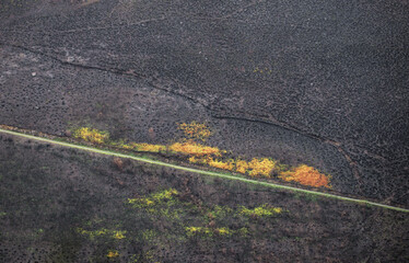 Landscapes devastated by forest fires in Courel Lugo Galicia