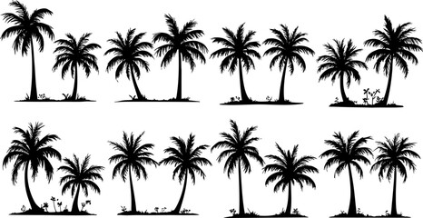 Tropical Palm Tree Silhouette Scene 