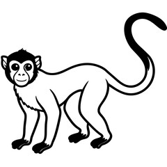 Spider Monkey Sketch line art Vector