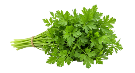 Fresh green parsley bunch aromatic herb culinary ingredient food garnish flavor enhancer raw ingredient on transparent background