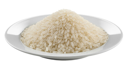 Isolated Pile of White Rice on Plate