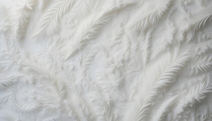 Obraz premium Soft delicate white feathers gently scattered on minimal white background