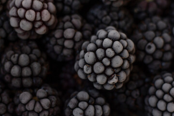 Close-Up of Frozen Blackberries with Frost Crystals
