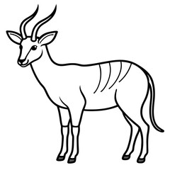 Obraz premium White Line Saola Drawing