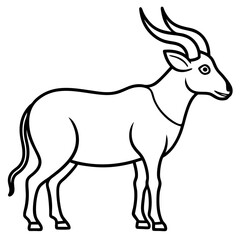 White Line Saola Drawing