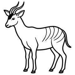 White Line Saola Drawing