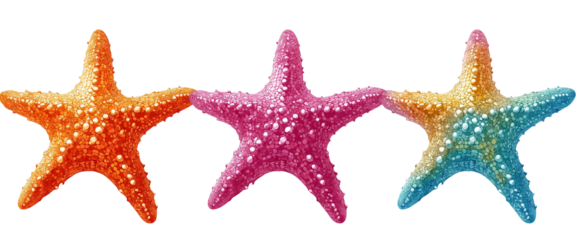 3 colorful starfish, isolated on a white background