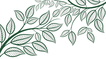 Illustration of green branches with leaves and visible leaf veins on a white background art design