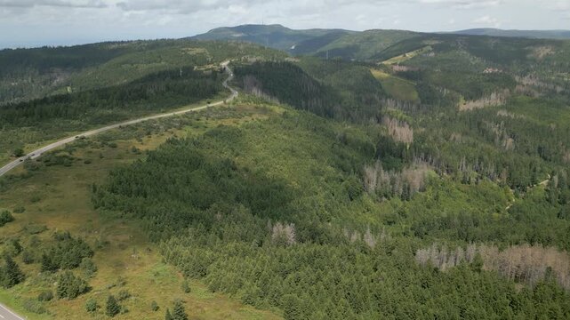 Riding through the B500 in the Black Forest