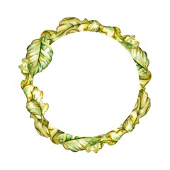 watercolor autumn green frame of leaves 