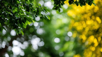 Bright springtime scene with glowing green and yellow orbs, soft focus, sunny blurred background, lush greenery, fresh vibrant colors, and copy space on the right