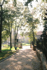 Autumn in the park 