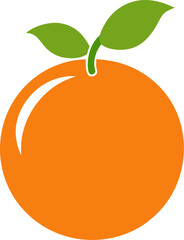 orange fruit vector illustration