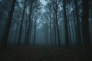 Fototapeta premium A fog-laden forest scene shrouded in mystery and enchantment
