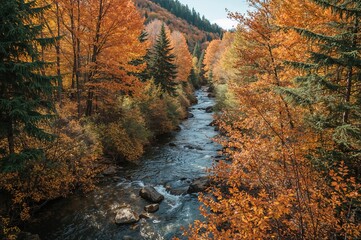 Fototapeta premium Autumn hues cluster near the stream