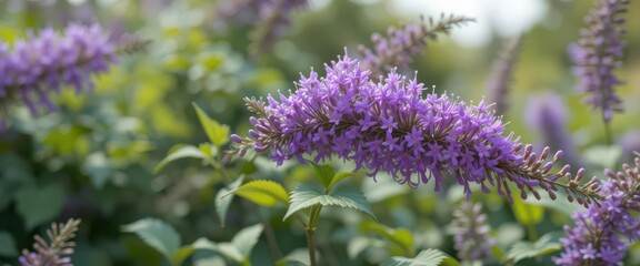  3D Floral Render Realistic Duranta Repens Model, Dynamic Wind Simulation, Modern Digital Art