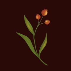  flower, autumn red berries with leaves