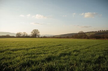 Obraz premium Early winter landscape of a field in a rural area
