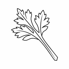 Celery Leaf Vector Outline