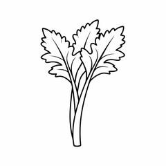 Celery Leaf Vector Outline