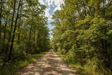 Obraz premium Lush foliage and scenic clouds surround a woodland path.