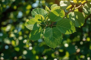 Obraz premium Fresh green foliage untouched by artificial processes