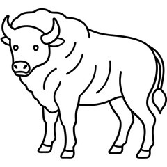 Wild Bison Outline line art