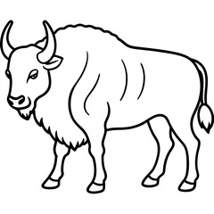 Wild Bison Outline line art