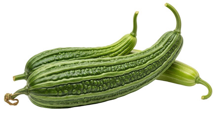 Isolated Ridged Gourd