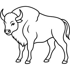 Wild Bison Outline line art
