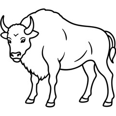 Wild Bison Outline line art